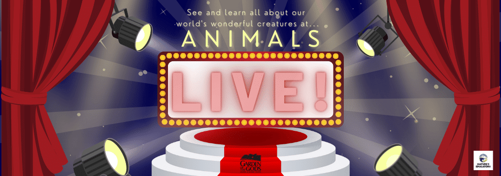 Animals LIVE Dec 2022