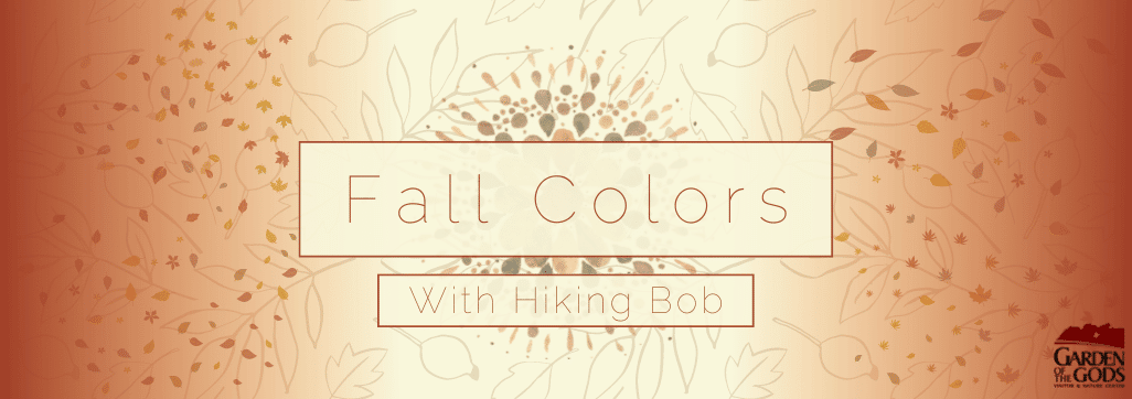 Fall colors with hiking bob flyer