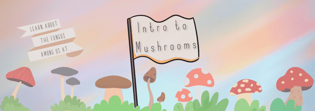 Intro to mushrooms flyer