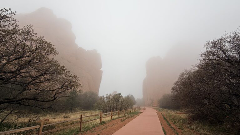 When the Garden Goes Quiet: Discovering Motorless Mornings