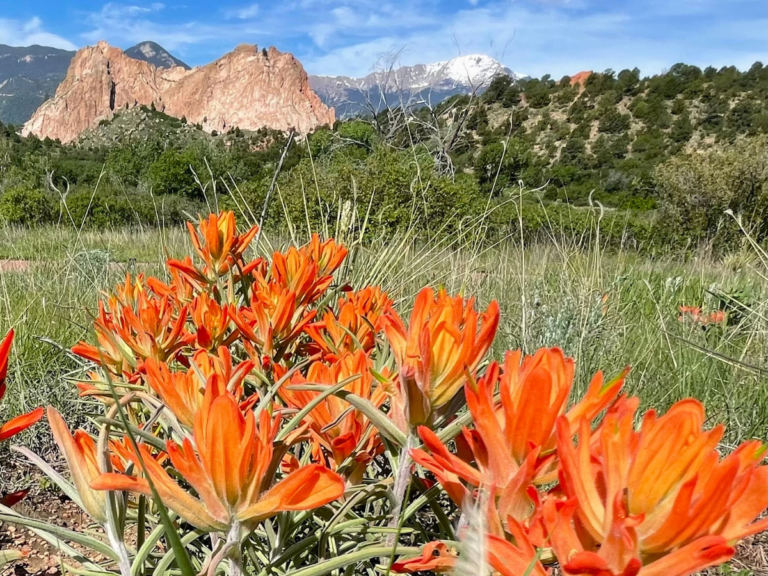 Stroll Into Spring: Plants of the Garden Programs
