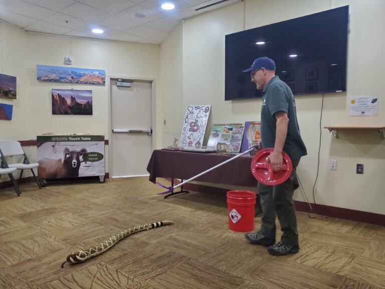 Program Highlight: Rattlesnakesss