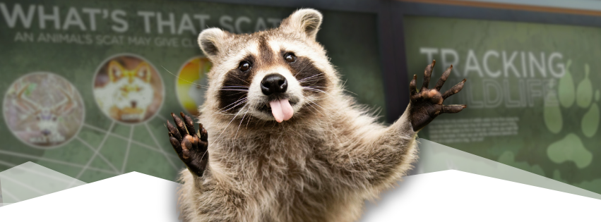 The Art of Animal Tracking — Colorado Springs event