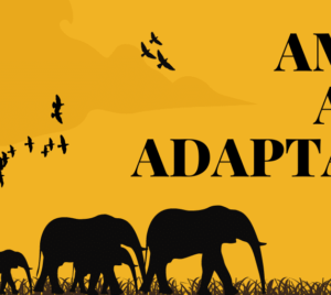 Amazing animal adaptations logo