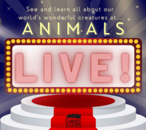 Animals LIVE Dec 2022