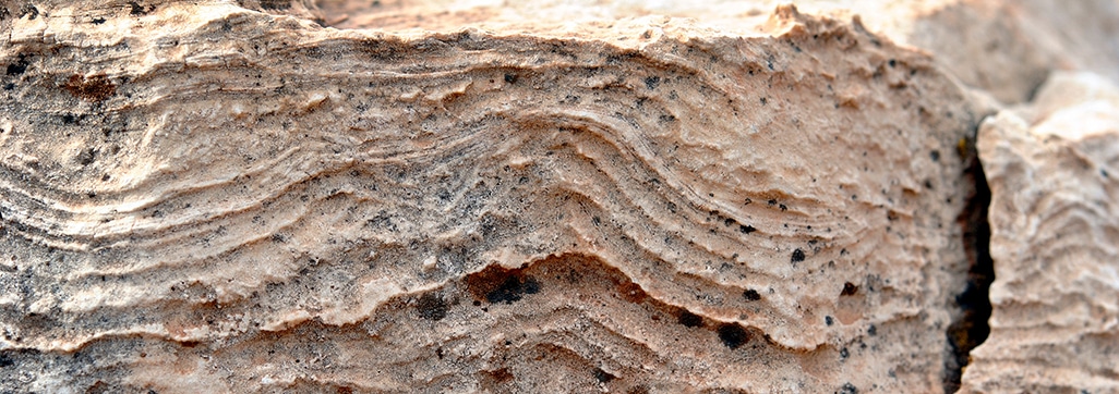 Up close view of rock in park